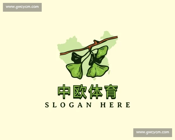 发现中欧体育